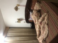 大田小区有小间 大田小区