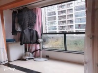 其它图