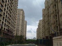 其它图