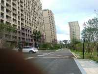 其它图