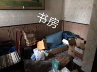 其它图