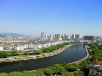绿都小区电梯房162平方，黄金楼层，简装 绿都小区电梯房162平方，黄金