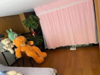 其它图